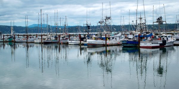 Yaquina Bay photo