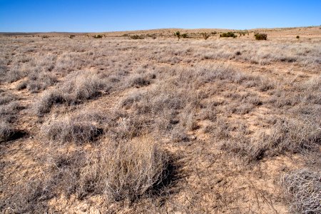 Southwestern Otero Mesa