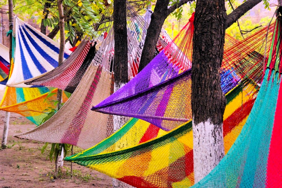 Hammocks market color