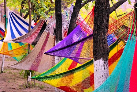 Hammocks market color