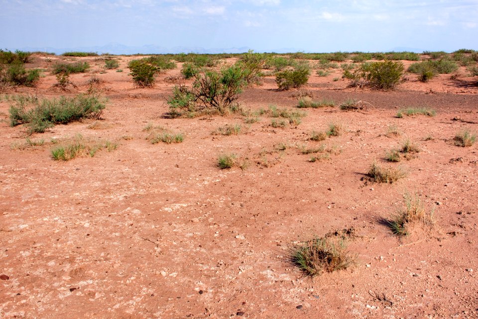 Near Coyote Canyon