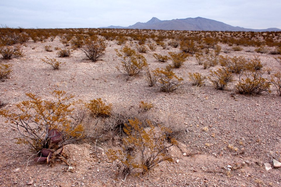 Northwest of Goat Ridge