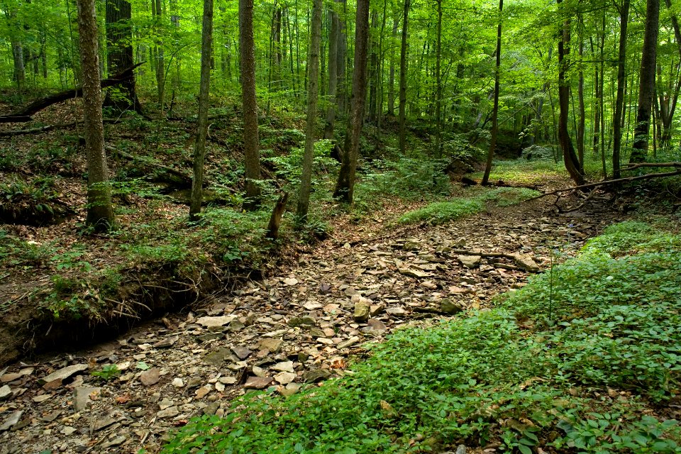 McCormick's Creek State Park