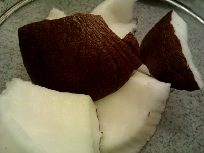 Coconut Bits Public Domain Photo