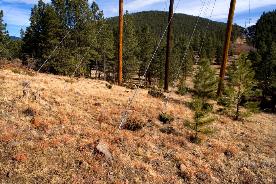 Between Angel Fire and Springer