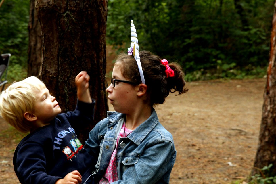A unicorn in the woods