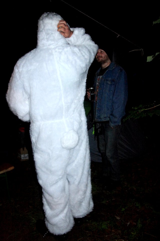 The Killer Rabbit of Caerbannog