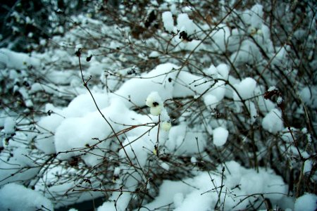 Winter in helsinki-2.jpg photo