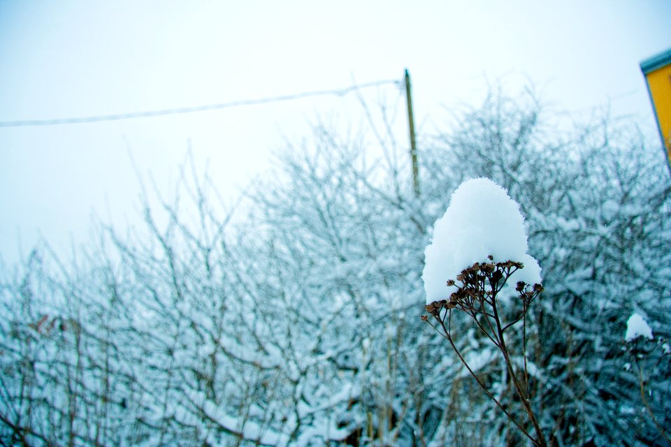 Winter in helsinki-8.jpg