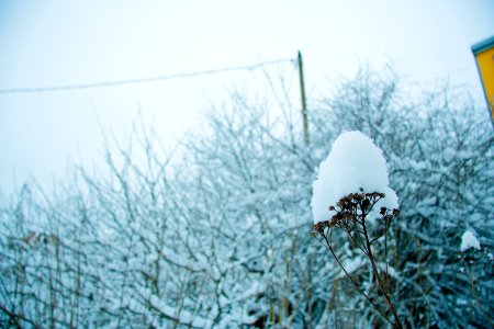 Winter in helsinki-8.jpg photo