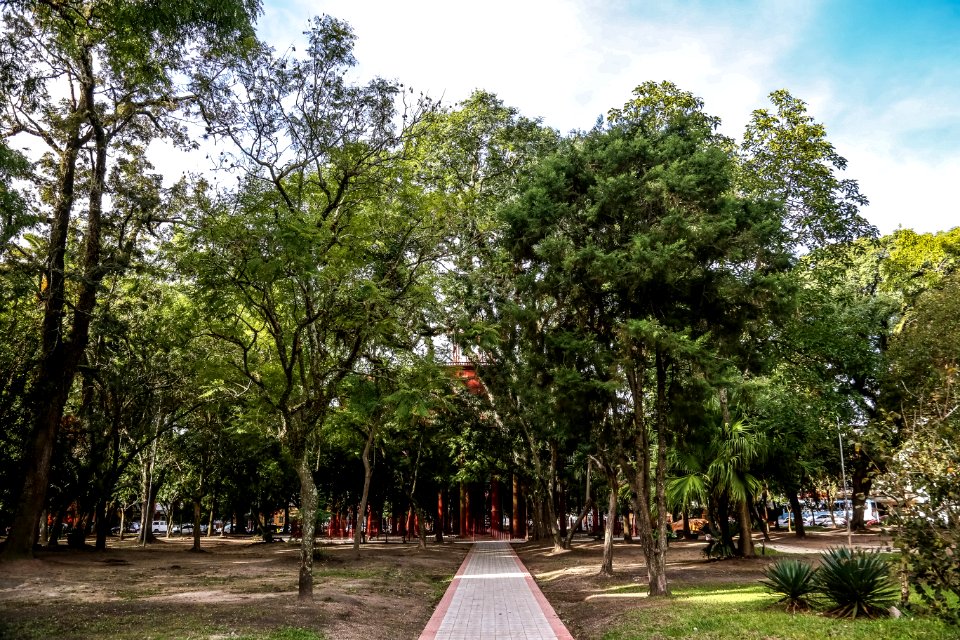 Praça Piratinino de Almeida - Gustavo Mansur-4