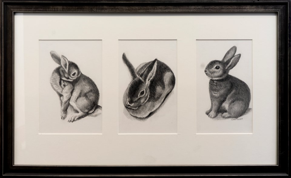 062 | Betty Grisham | Denali Bunny, 3 Views | Drawing | 26x16