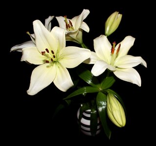 Flowers bouquet white