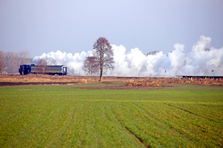 Dampfzug
