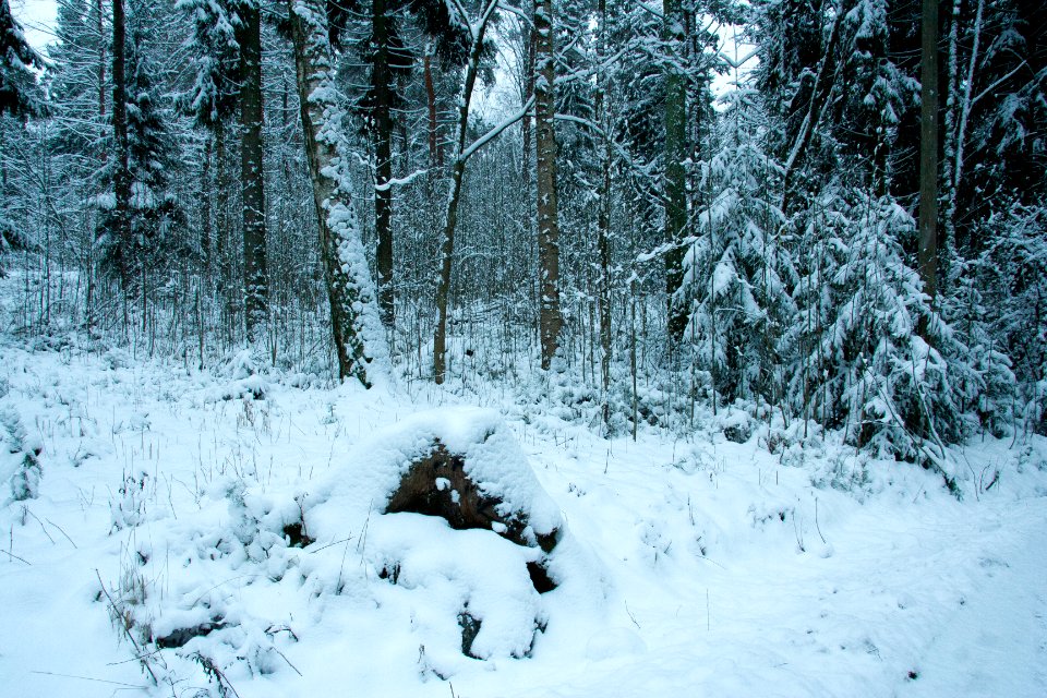 Winter in helsinki-16.jpg