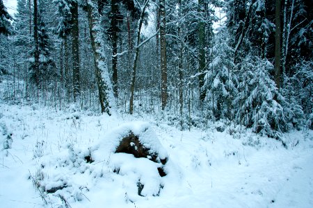 Winter in helsinki-16.jpg photo
