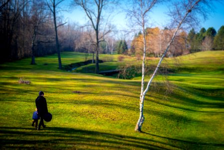 Fall walk photo