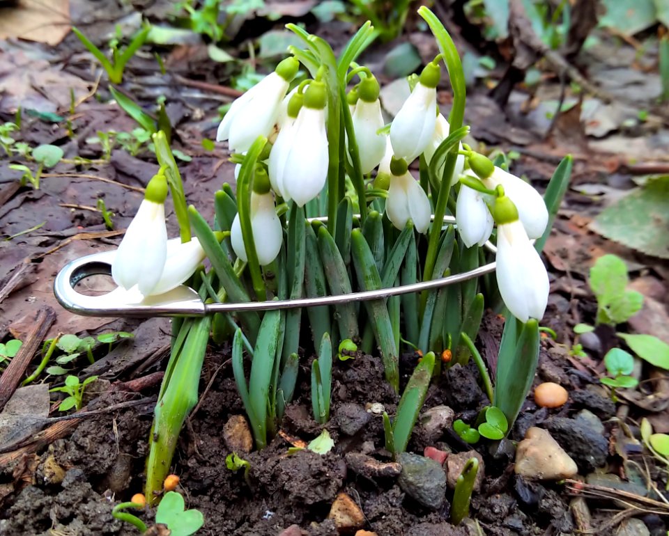 And yet, spring!