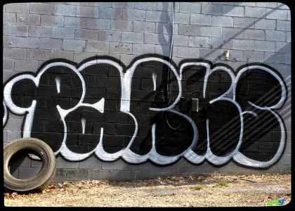 Public Domain