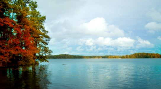Autumn