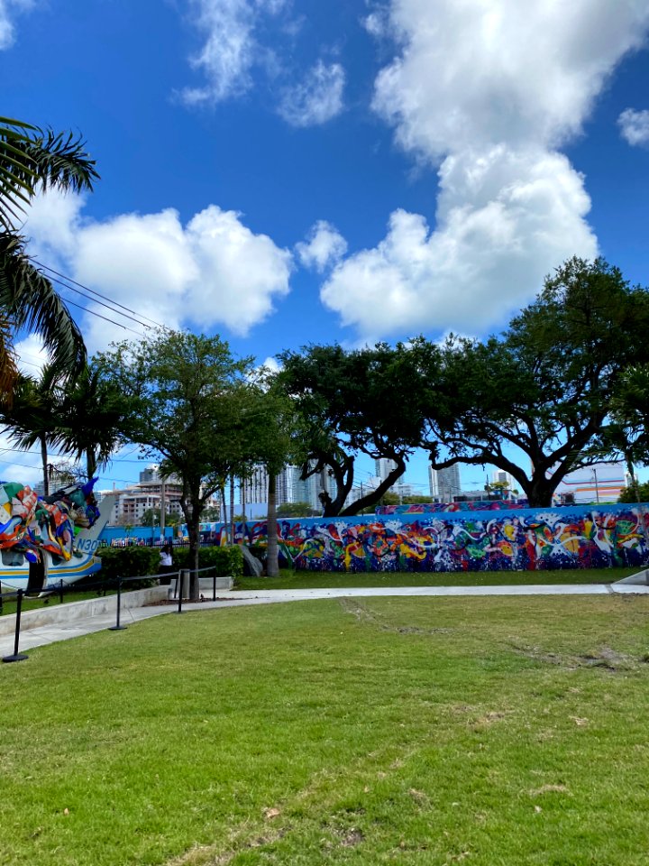 Wynnewood Art District, Miami 3/2021