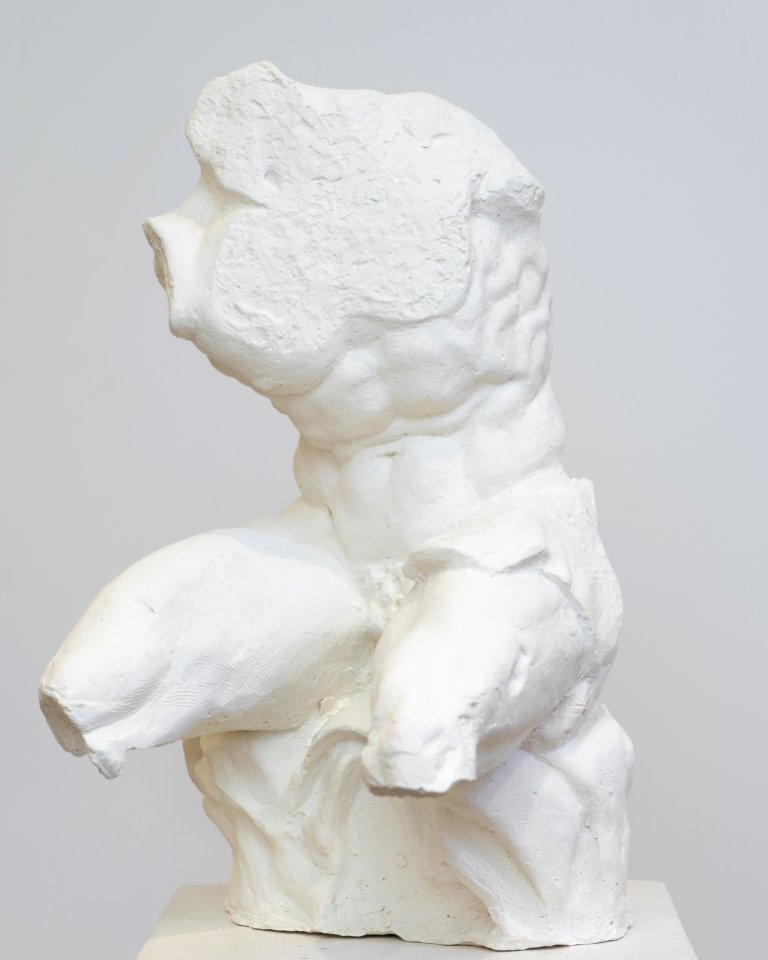 270 | Joe Noorigian | Belvedere Torso | Sculpture | 13.5x8