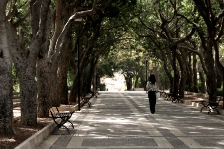 Dating a Shadow photo