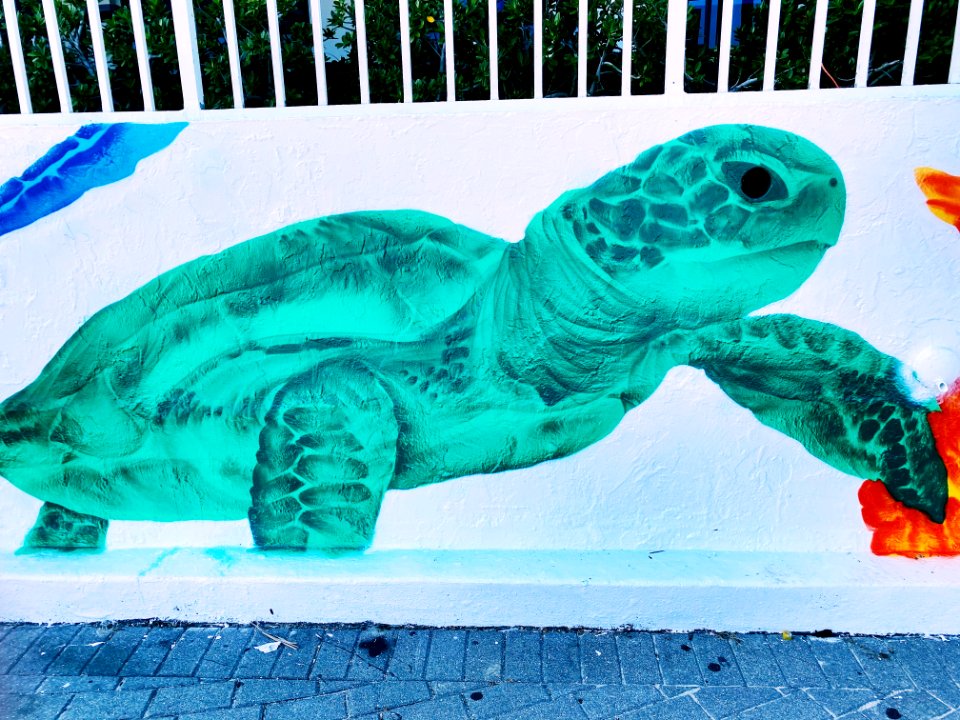 Turtle mural at Fort Lauderdale Beach
