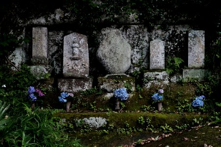 Kamakura jizo with ajisai