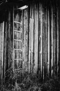 Old Colorado Barn