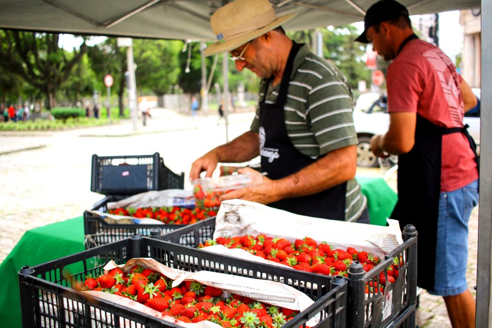 25.01.2019 - Feira do morango - Foto Marcel Avila