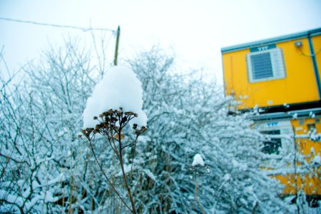 Winter in helsinki-7.jpg photo