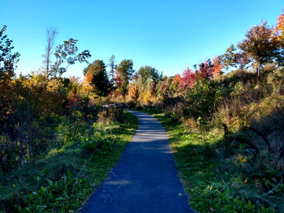 Fisher Hill Reservoir Park