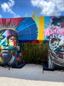 Wynnewood Art District, Miami 3/2021
