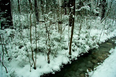Winter in helsinki-13.jpg photo