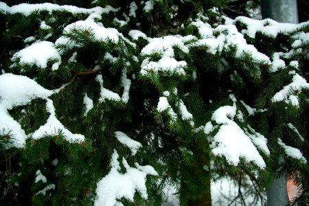 Winter in helsinki-4.jpg photo