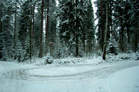 Winter in helsinki-17.jpg photo