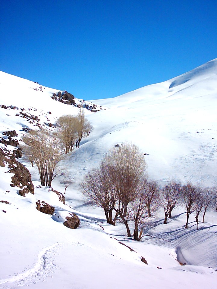 Pahneh Hesar (Pahneh Sar), Kan, Alburz
