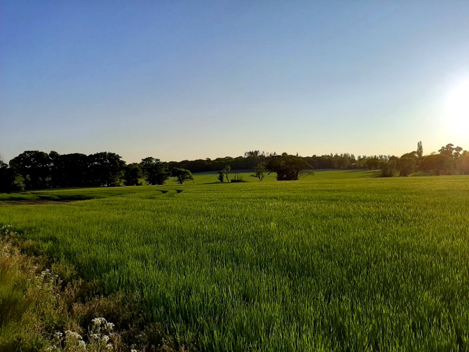 ormskirk