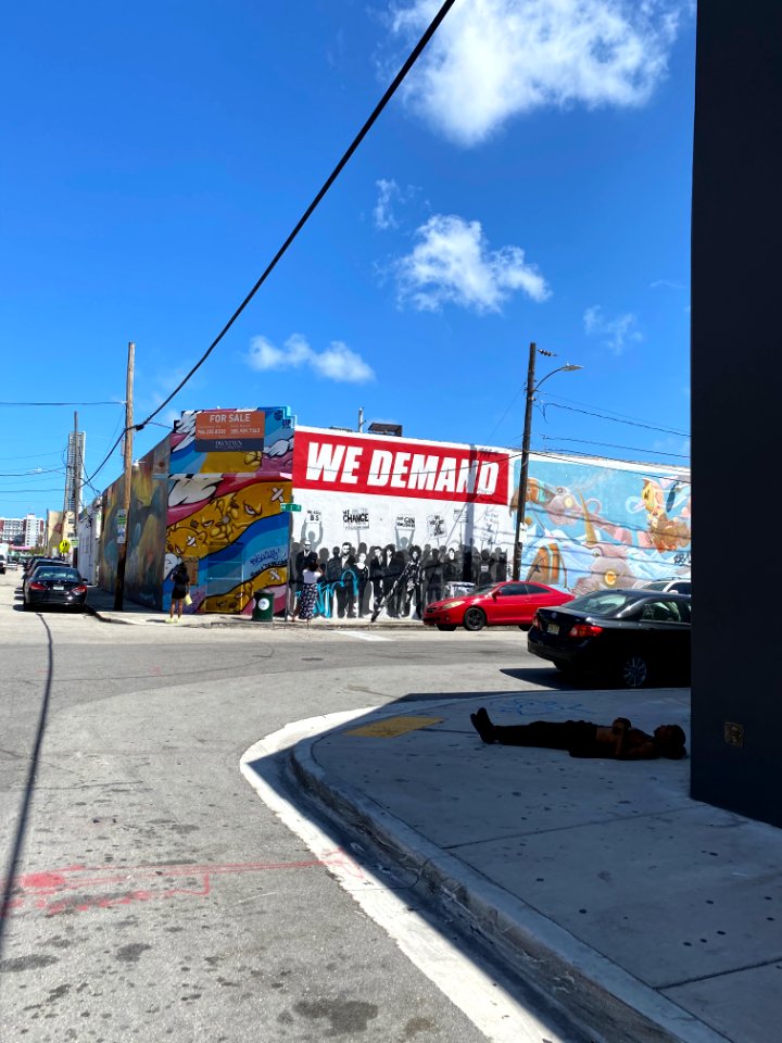 Wynnewood Art District, Miami 3/2021