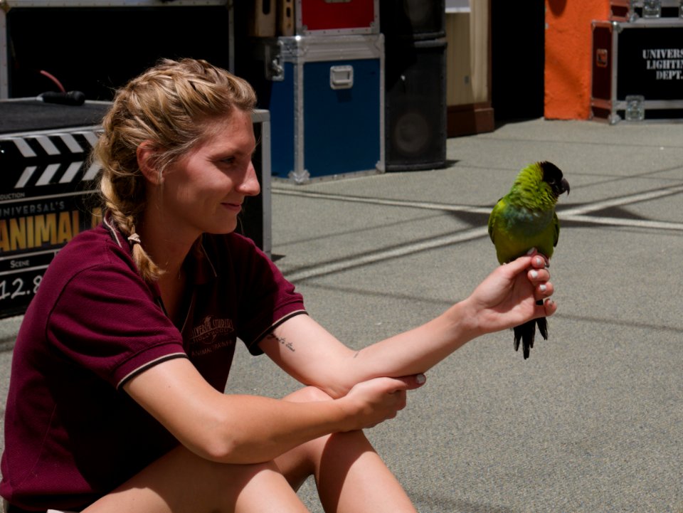 bird-handler
