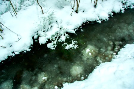 Winter in helsinki-12.jpg photo