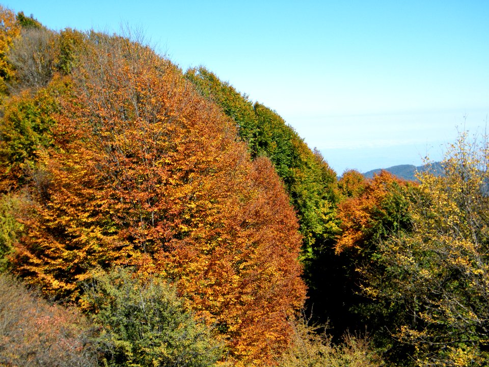 Alimestan village, Mazandaran