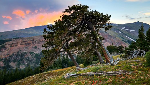 Above Fairplay, Colorado mountain sunset