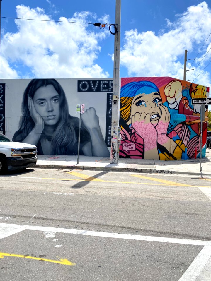 Wynnewood Art District, Miami 3/2021