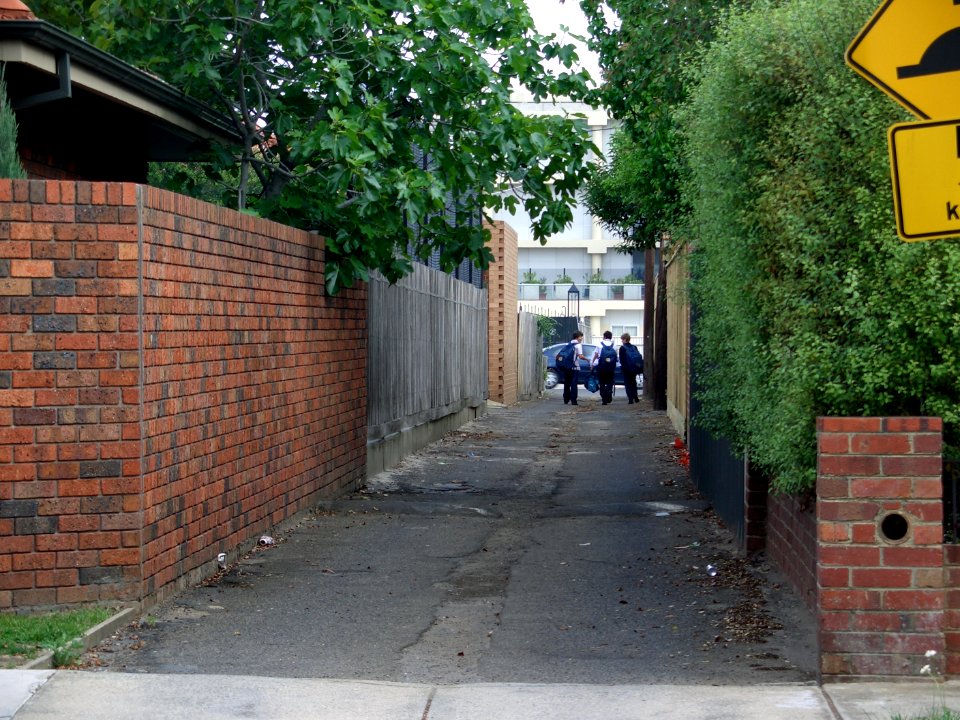 alley kids