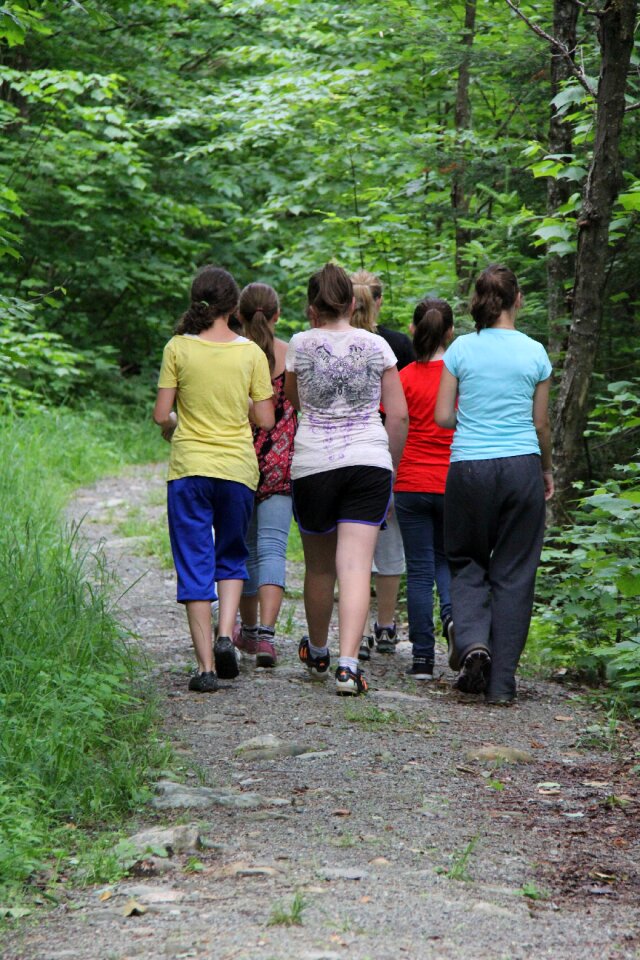 Nature trail forest market
