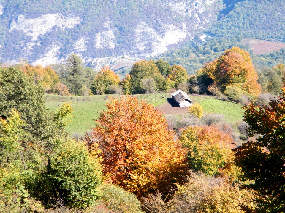Alimestan village, Mazandaran