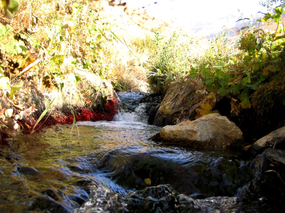 Pahneh Hesar (Pahneh Sar), Kan, Alburz