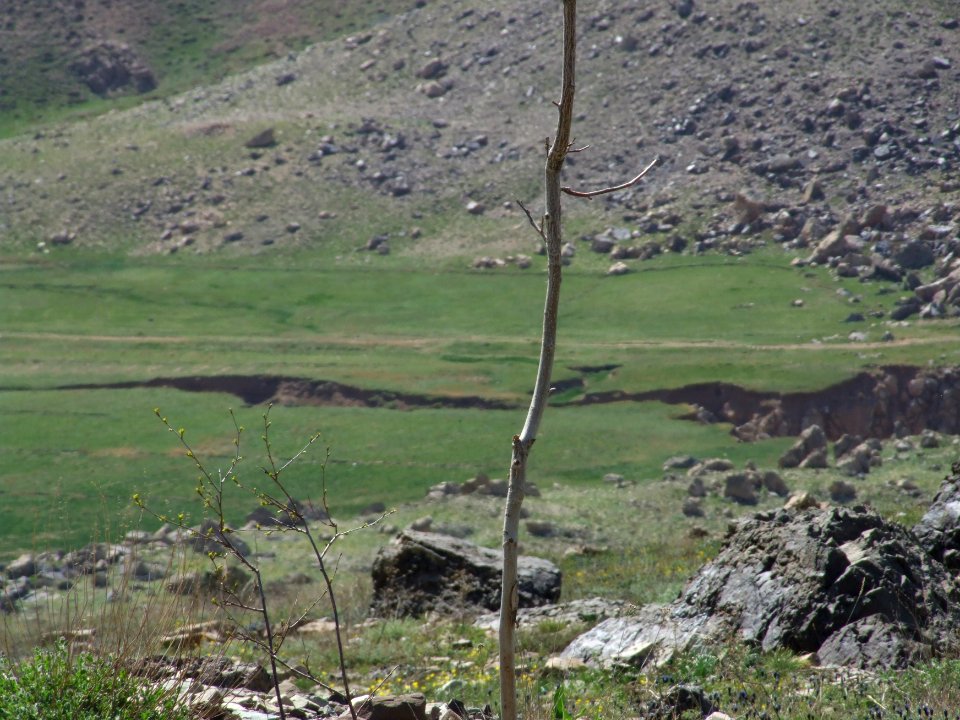 Oshtoran Kuh